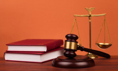 辯護(hù)人與訴訟代理人的區(qū)別